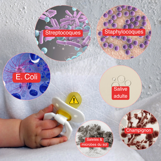 BabyClean™ : La tétine propre, en toute simplicité